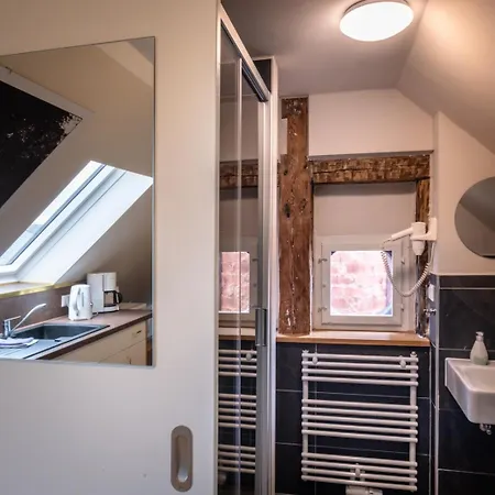 Altstadt Palais 아파트 바이마르